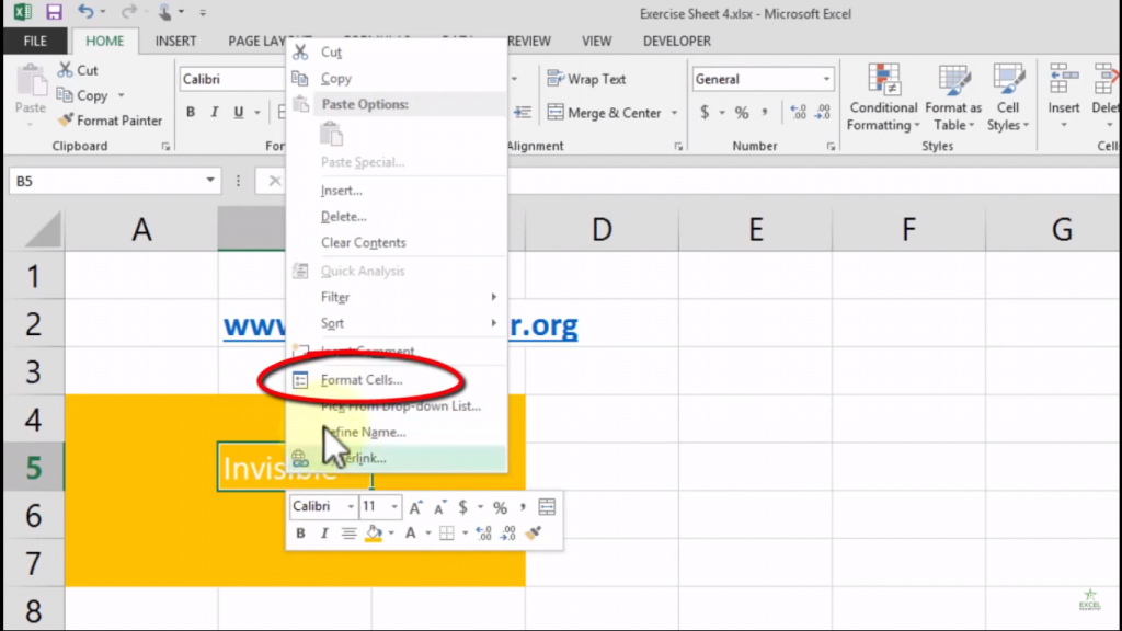 How to a Text Magically Invisible in Excel | Excel in Hindi