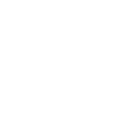 spreadsheet